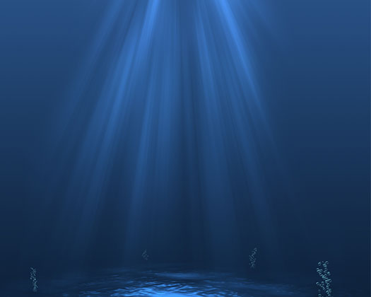 Eine Hand hält einen weißen Behälter über einem Aquarium mit einem bewachsenen Bodengrund und Gesteinsformationen.